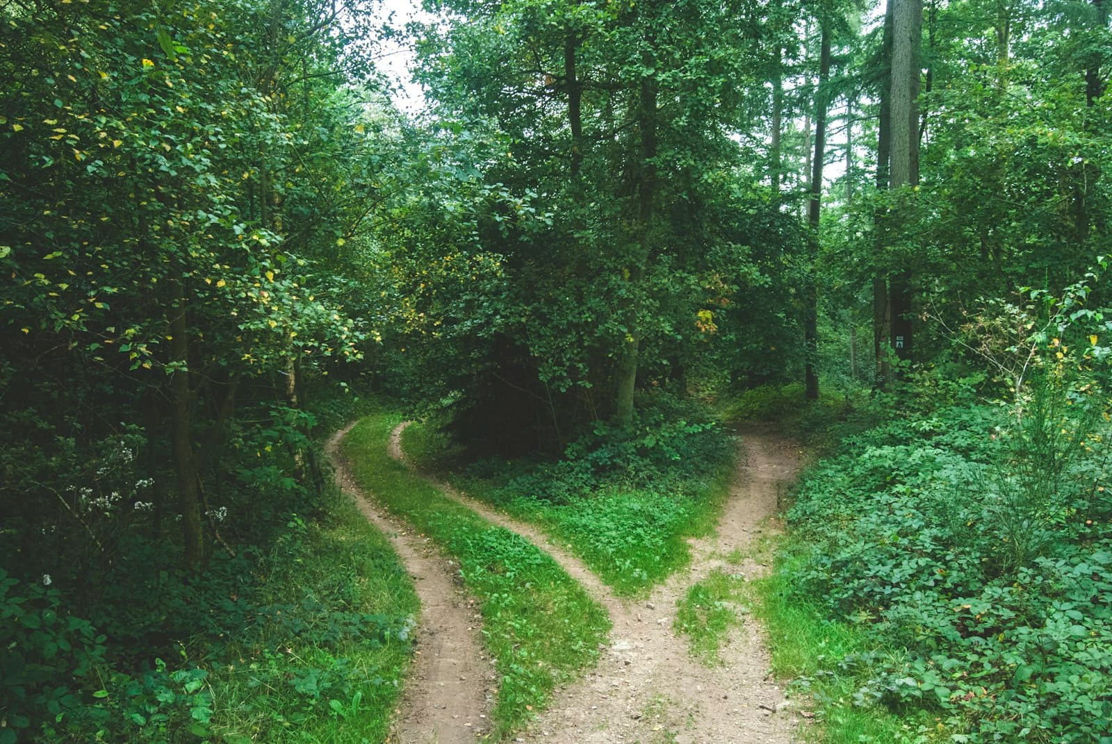 Go in Produktion: wann ein Service nicht in PHP gehört